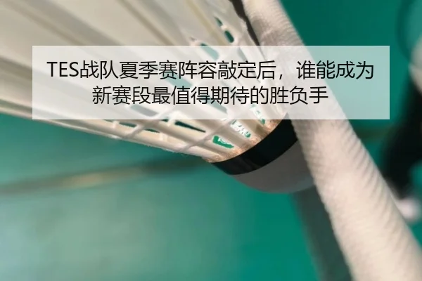 TES战队夏季赛阵容敲定后，谁能成为新赛段最值得期待的胜负手